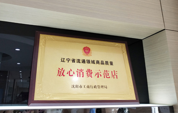 資質(zhì)